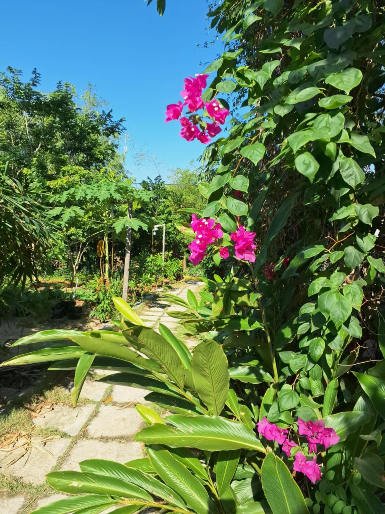 Homestay Dat Phu Tuy Hoa Exterior photo